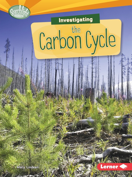 Cover image for Investigating the Carbon Cycle